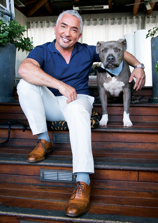 Cesar Millan (Credit: Getty Images)
